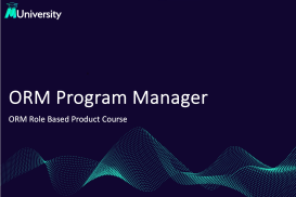 ORM Program Manager