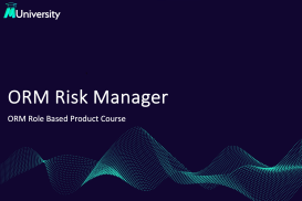 ORM Risk Manager - Role Based Course