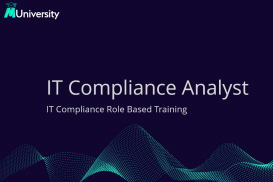 IT Compliance Analyst - Role Based Course
