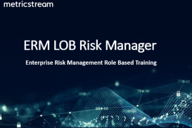 ERM LOB Risk Manager - Role Based Course