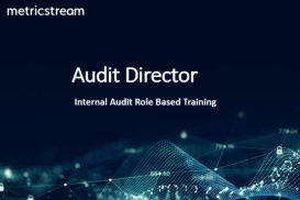 Audit Director - Role Based Course
