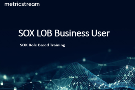 SOX LOB Business User - Role Based Course