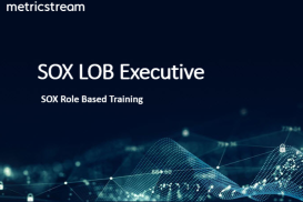 SOX LOB Executive - Role Based Course