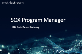 SOX Program Manager - Role Based Course