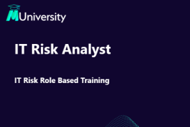 IT  Risk Analyst - Role Based Course