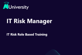 IT Risk Manager