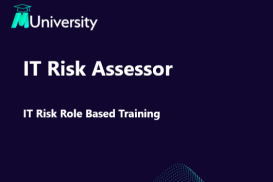 IT Risk Assessor