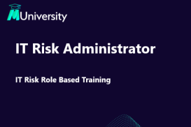 IT Risk Admin