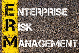 Enterprise Risk Management - Introductory Course