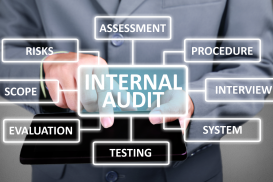 Internal Audit Management - Introductory Course
