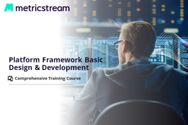 Platform Framework: Basic Design and Development - Comprehensive Course (Self Study )